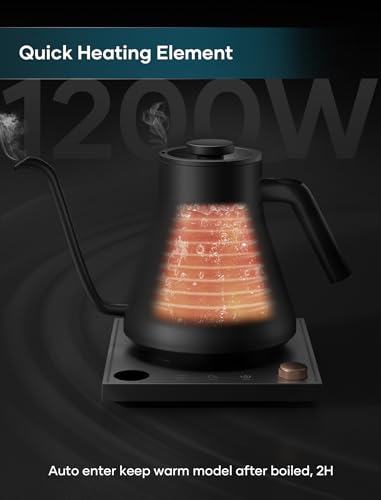 Best Electric Kettle For Matcha