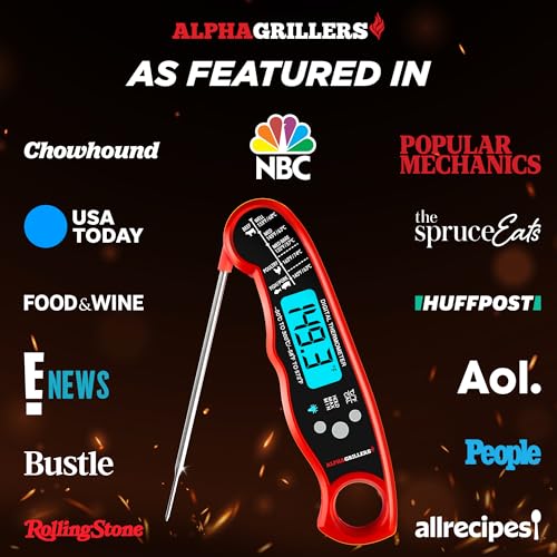 Best Meat Thermometer For Steak