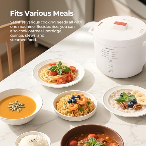 Best Rice Cooker For Quinoa