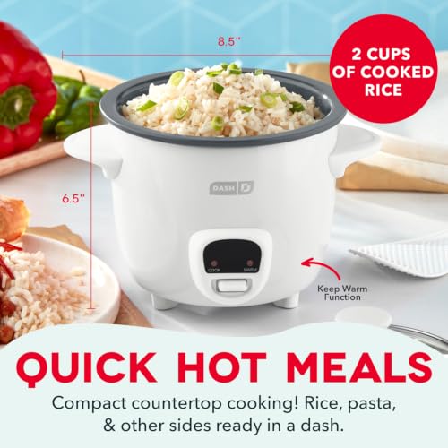 Best Rice Cooker For One Person