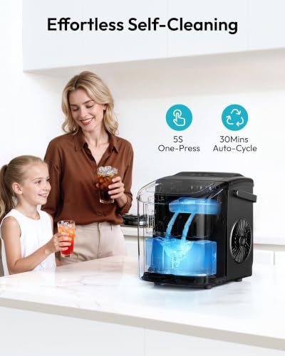 Best Ice Maker For The Money